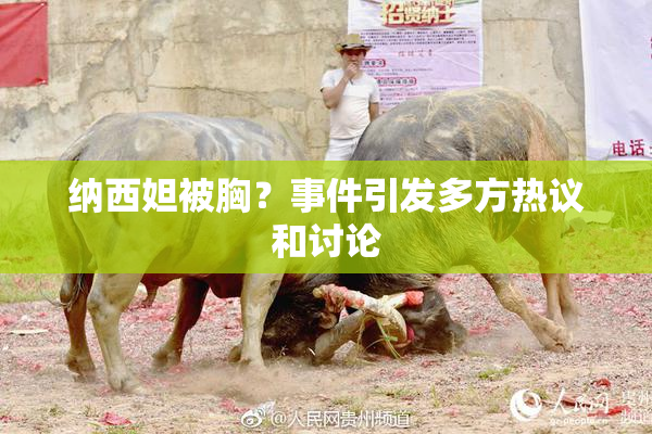 纳西妲被胸？事件引发多方热议和讨论
