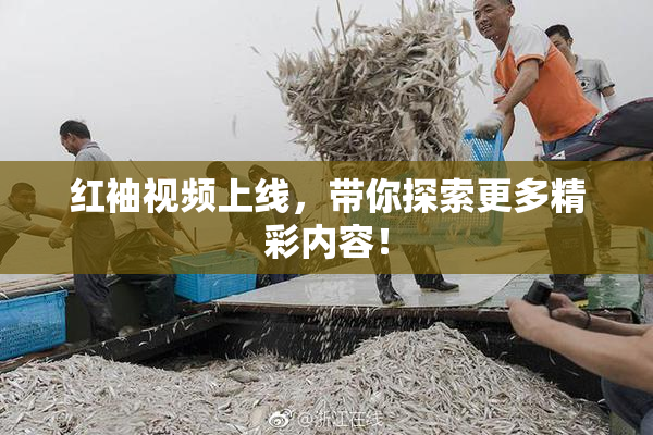 红袖视频上线，带你探索更多精彩内容！