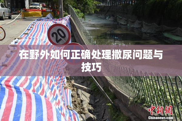 在野外如何正确处理撒尿问题与技巧