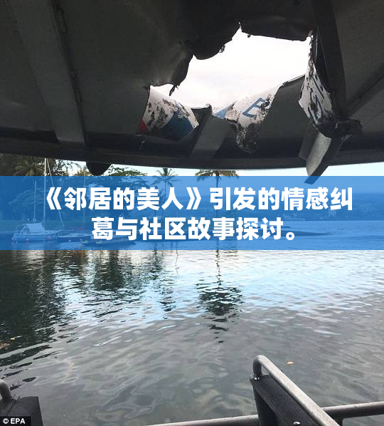 《邻居的美人》引发的情感纠葛与社区故事探讨。