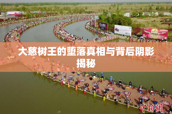 大慈树王的堕落真相与背后阴影揭秘