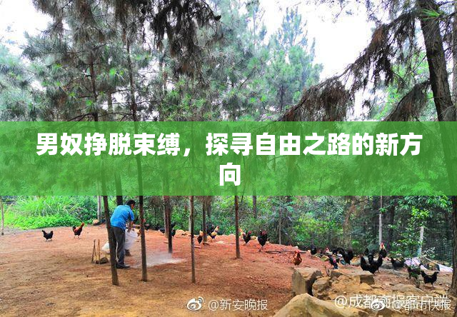 男奴挣脱束缚，探寻自由之路的新方向