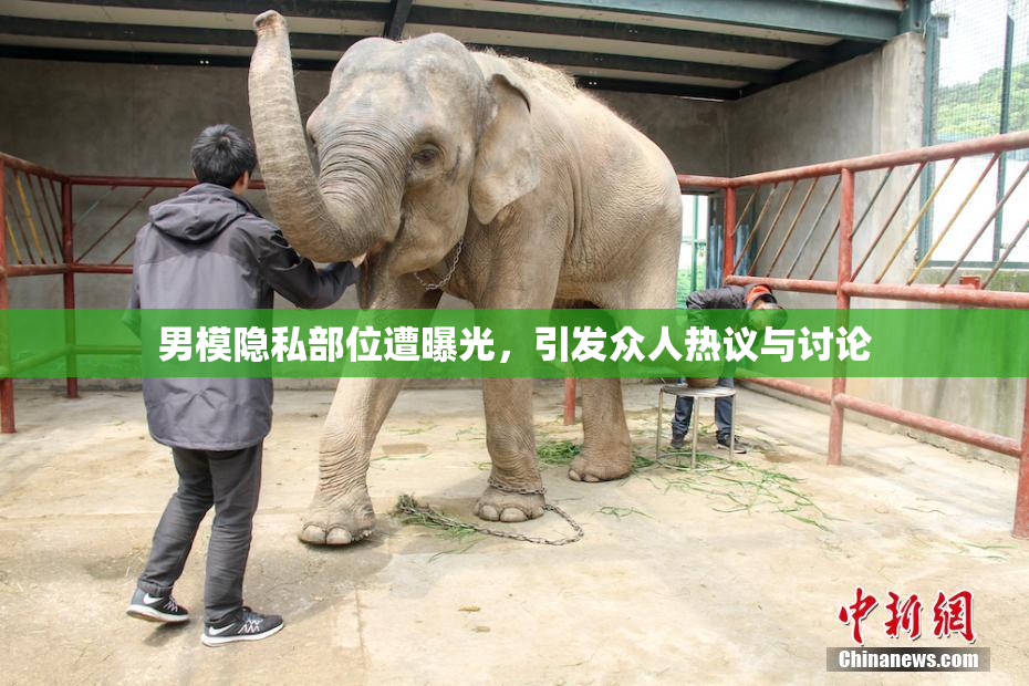 男模隐私部位遭曝光，引发众人热议与讨论