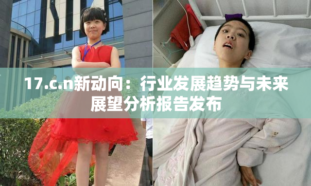 17.c.n新动向：行业发展趋势与未来展望分析报告发布