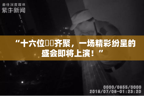 “十六位妺妺齐聚，一场精彩纷呈的盛会即将上演！”