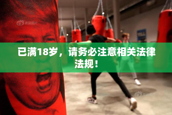 已满18岁，请务必注意相关法律法规！
