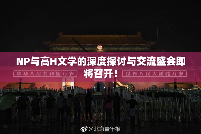 NP与高H文学的深度探讨与交流盛会即将召开！