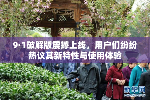 9·1破解版震撼上线，用户们纷纷热议其新特性与使用体验