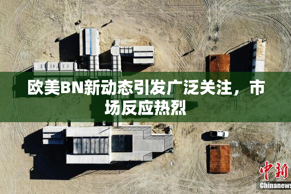 欧美BN新动态引发广泛关注，市场反应热烈