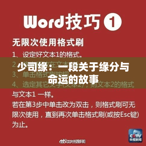 少司缘：一段关于缘分与命运的故事