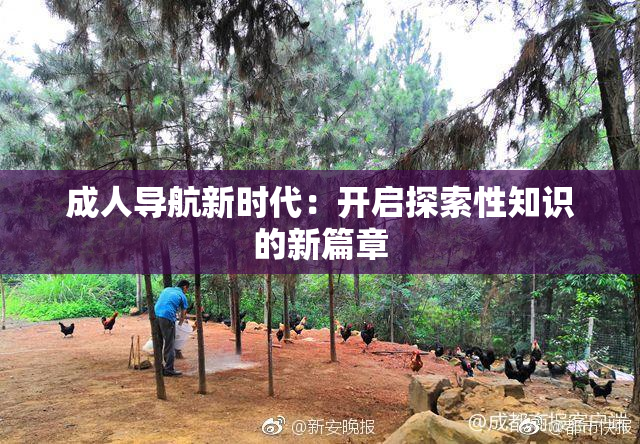 成人导航新时代：开启探索性知识的新篇章