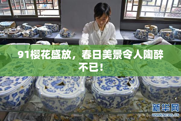 91樱花盛放，春日美景令人陶醉不已！