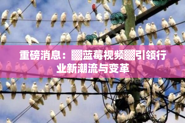 重磅消息：▓蓝莓视频▓引领行业新潮流与变革