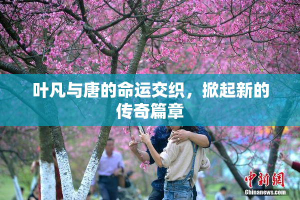 叶凡与唐的命运交织，掀起新的传奇篇章