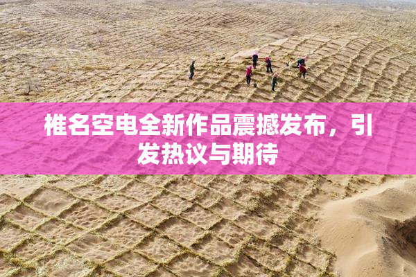 椎名空电全新作品震撼发布，引发热议与期待