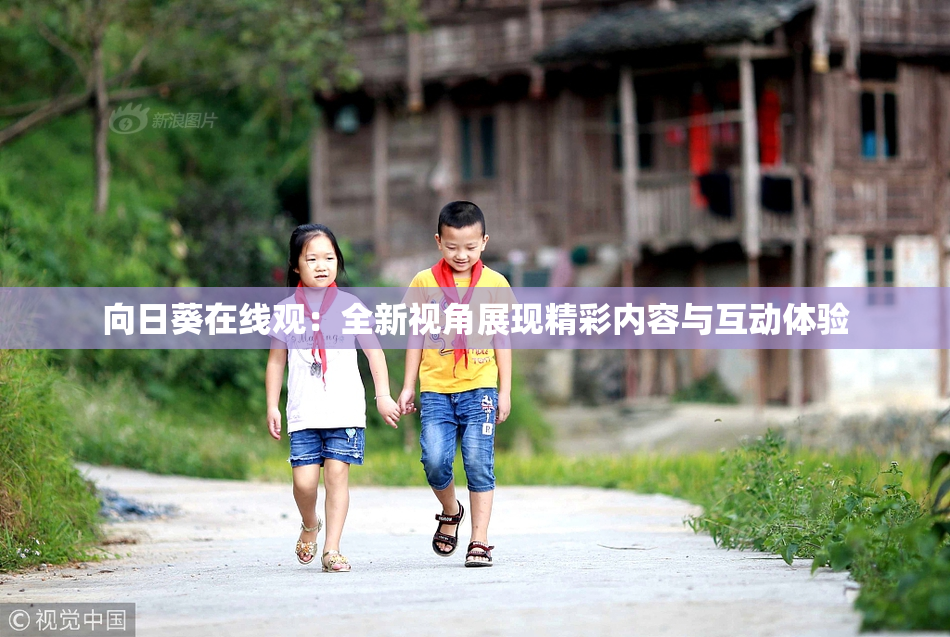 向日葵在线观：全新视角展现精彩内容与互动体验
