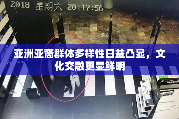 亚洲亚裔群体多样性日益凸显，文化交融更显鲜明