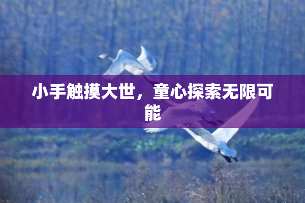 小手触摸大世，童心探索无限可能