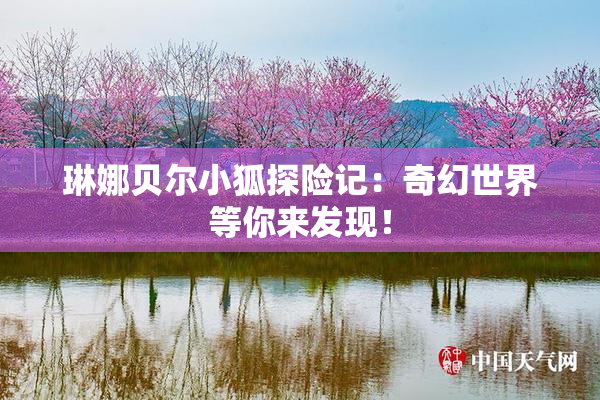 琳娜贝尔小狐探险记：奇幻世界等你来发现！