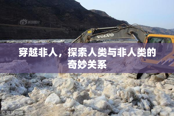 穿越非人，探索人类与非人类的奇妙关系