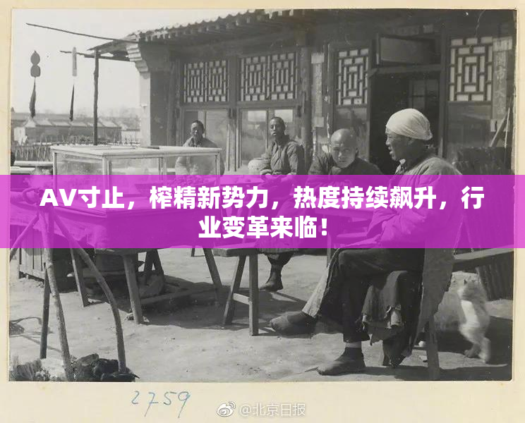 AV寸止，榨精新势力，热度持续飙升，行业变革来临！