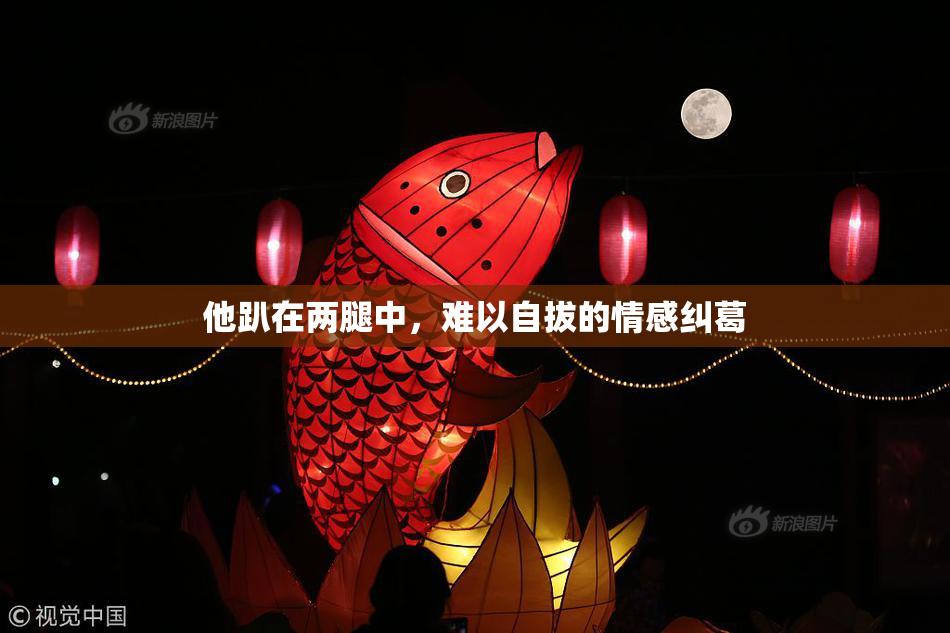 他趴在两腿中，难以自拔的情感纠葛