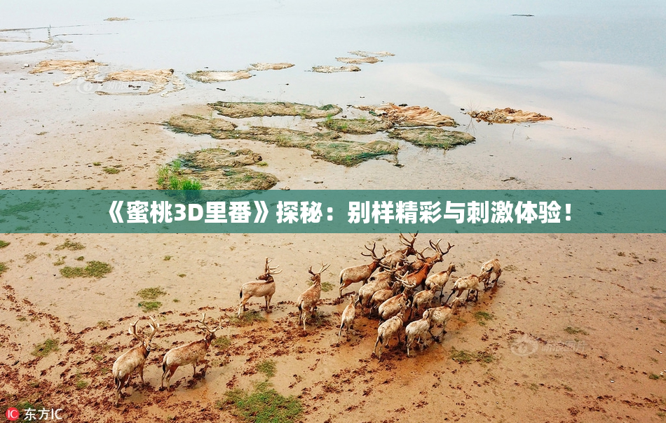 《蜜桃3D里番》探秘：别样精彩与刺激体验！
