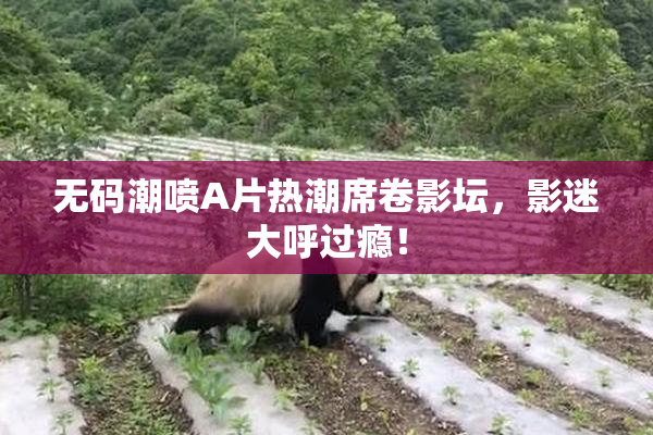 无码潮喷A片热潮席卷影坛，影迷大呼过瘾！