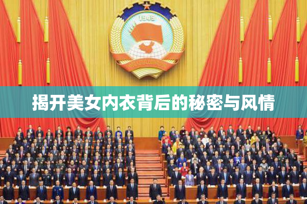 揭开美女内衣背后的秘密与风情