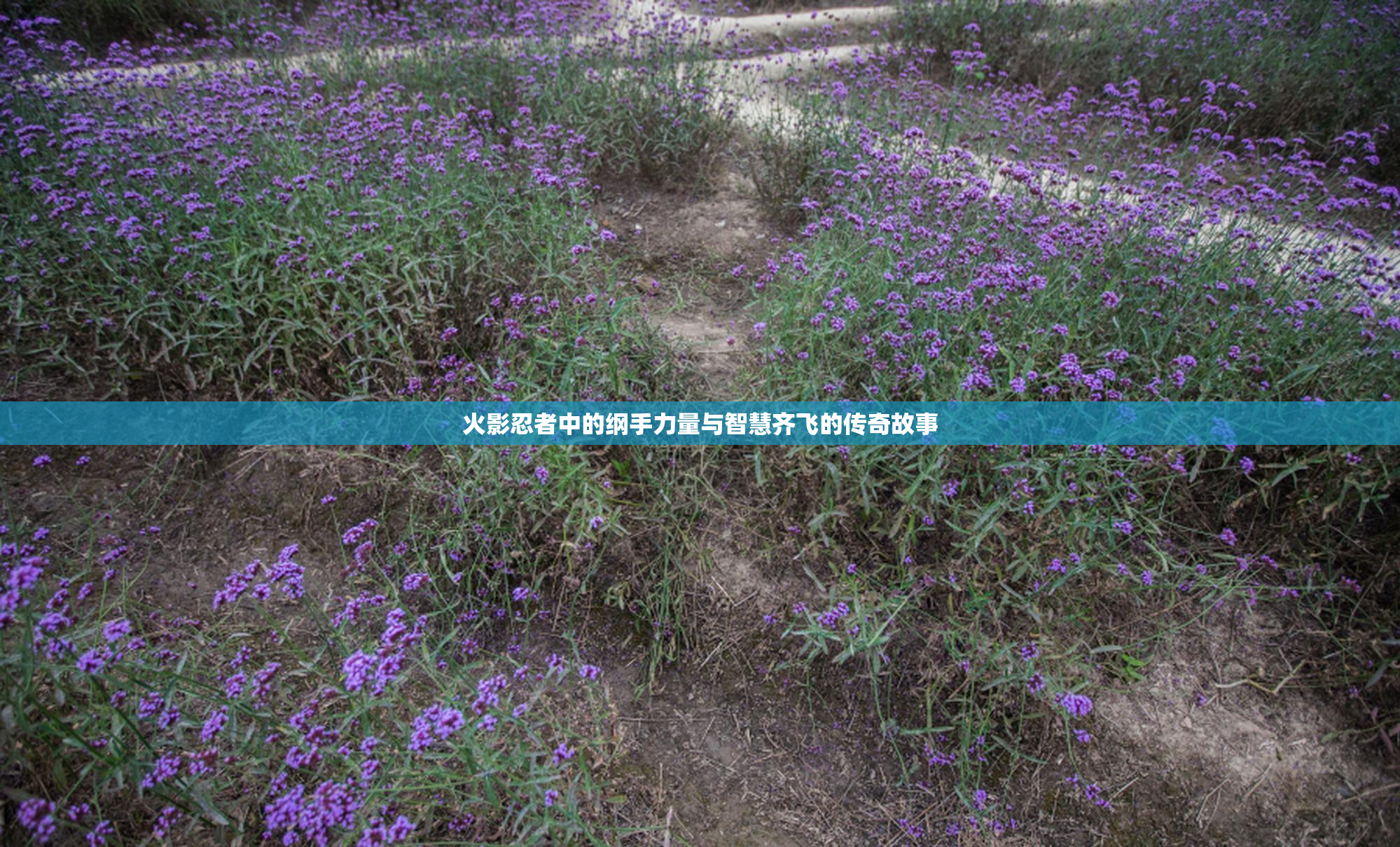 火影忍者中的纲手力量与智慧齐飞的传奇故事