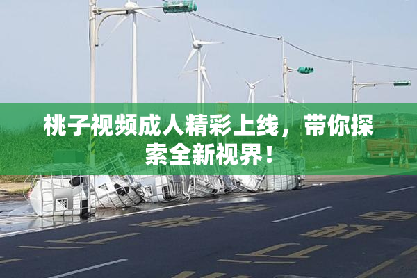 桃子视频成人精彩上线，带你探索全新视界！