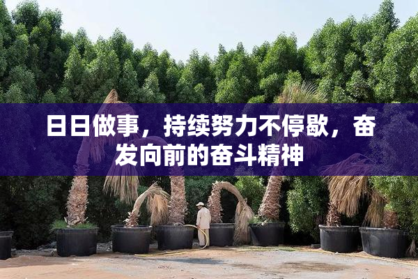 日日做事，持续努力不停歇，奋发向前的奋斗精神