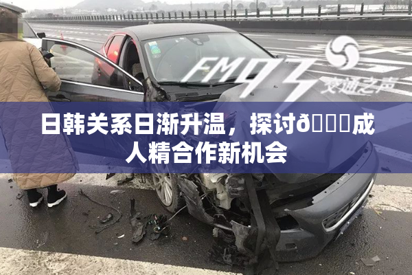 日韩关系日渐升温，探讨🔞成人精合作新机会