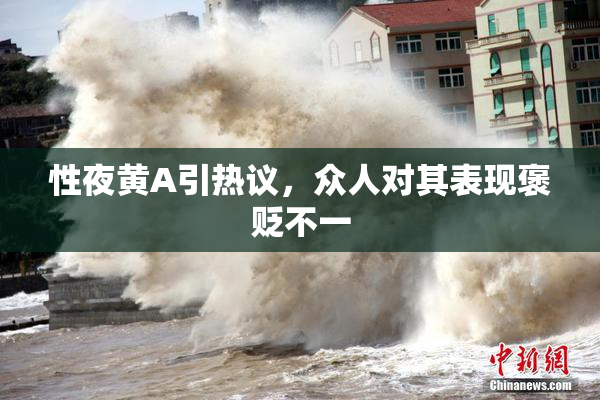 性夜黄A引热议，众人对其表现褒贬不一