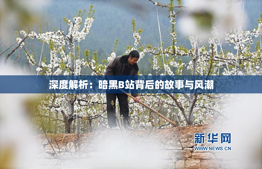 深度解析：暗黑B站背后的故事与风潮
