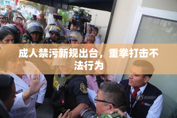 成人禁污新规出台，重拳打击不法行为