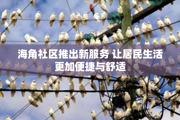 海角社区推出新服务 让居民生活更加便捷与舒适