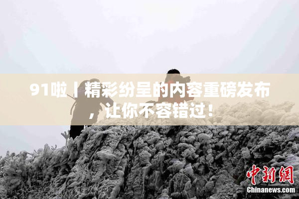 91啦丨精彩纷呈的内容重磅发布，让你不容错过！