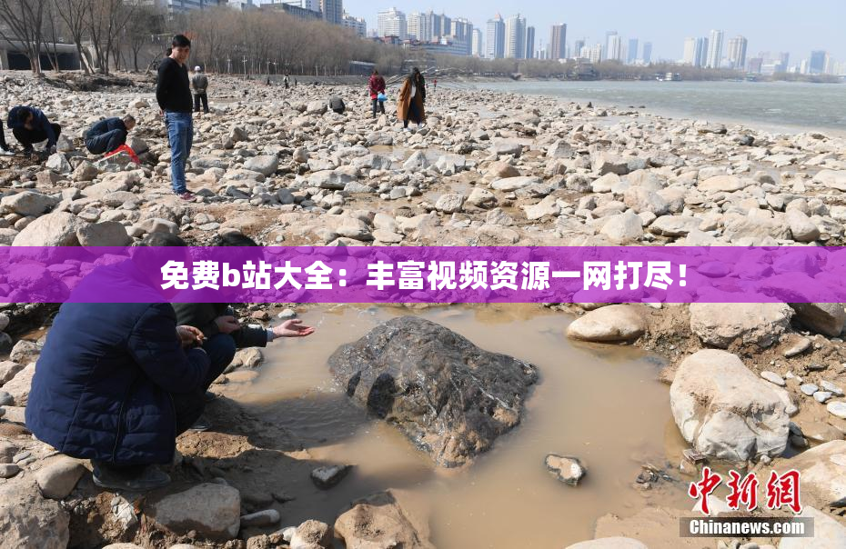 免费b站大全：丰富视频资源一网打尽！