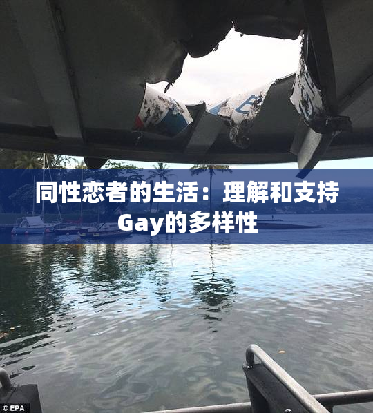 同性恋者的生活：理解和支持Gay的多样性