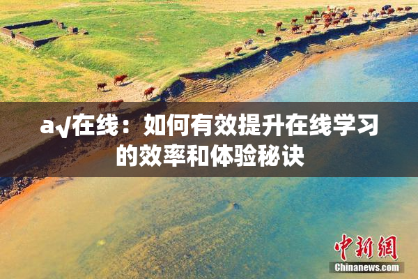 a√在线：如何有效提升在线学习的效率和体验秘诀