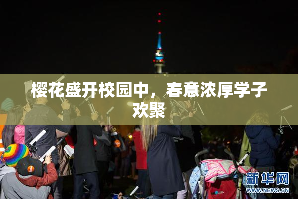 樱花盛开校园中，春意浓厚学子欢聚