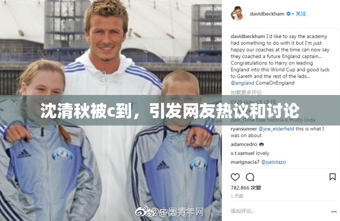 沈清秋被c到，引发网友热议和讨论