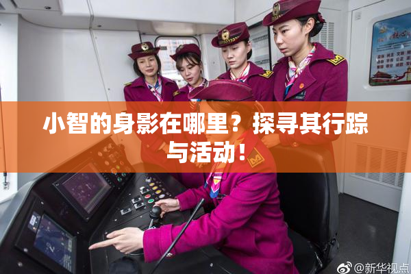 小智的身影在哪里？探寻其行踪与活动！