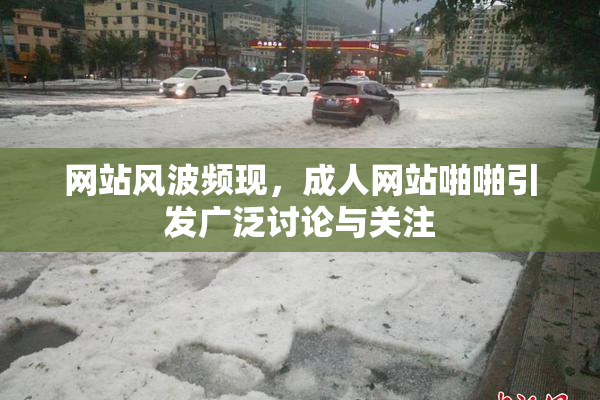 网站风波频现，成人网站啪啪引发广泛讨论与关注