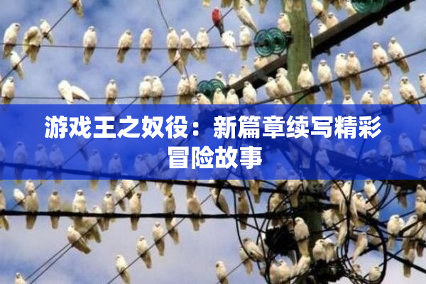 游戏王之奴役：新篇章续写精彩冒险故事