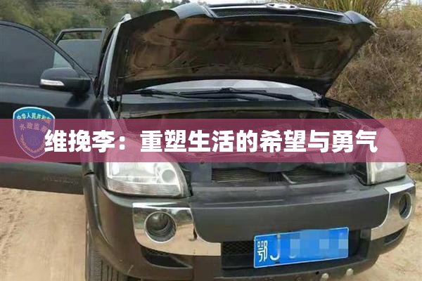 维挽李：重塑生活的希望与勇气