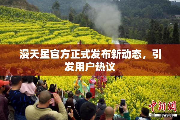 漫天星官方正式发布新动态，引发用户热议