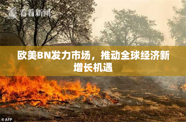 欧美BN发力市场，推动全球经济新增长机遇