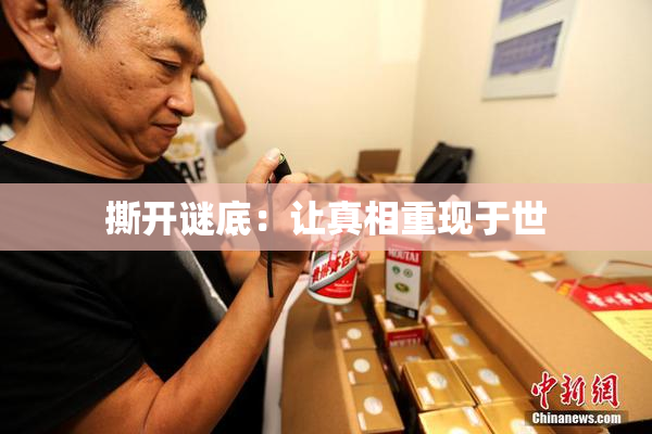 撕开谜底：让真相重现于世